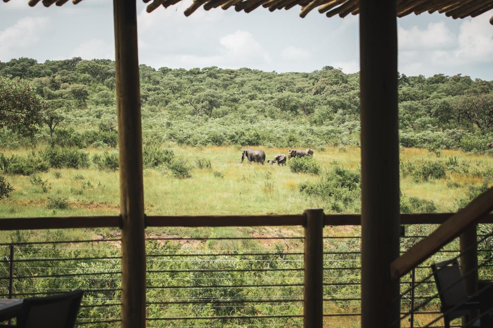 Mdluli Safari Lodge ヘイジービュー エクステリア 写真